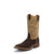 MD5330 Nocona Boots Dark Brown Prosper with 11" Palomino Rodeo Top