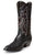 MD8501 Nocona Boots RANDY BLACK FULL QUILL Ostrich 13
