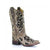 A3648 Corral Women's Brown Inlay & Flowered Embroidery & Studs & Crystals Square Toe Boot